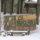 청태산그린 이미지