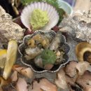 산호초등학교 | 강남 술집 논현회맛집 산호초 논현점 고등어회 뿔소라회 후기