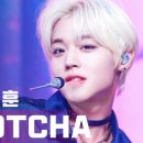 GOTCHA! 갓챠! 네이버블로그