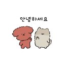 [ 니트하임 ] 매장 방문 및 구매 후기