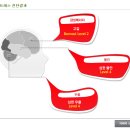 위즈시스템 이미지