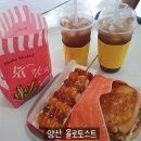 욜로토스트