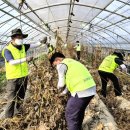 농협네트웍스 이미지