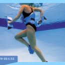 아쿠아휘트니스 이미지