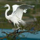 보령시청 이미지