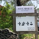 [류즘맛집] 예산 사과나무 돈가스 후기