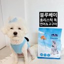 pet372다8146 | 블루베이 홀리스틱 독 연어&amp;고구마 후기