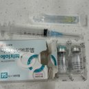 호남인공수정센타 | 인공수정 자가주사 후기｜HP주사·오비드렐 직접 맞아본 기록