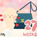 태한이네 집밥 | 임신 27주차, 28주차 일상 | 배땡김, 배통증 증상 😨