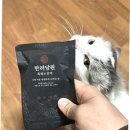 염소한마리 이미지