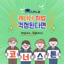 애드비 | 캐나다 밴쿠버 코너스톤 코업 컬리지 (CICCC) 완벽 가이드