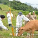 대민축산 이미지