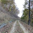 자개골 유원지 이미지