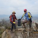 진달래화원 이미지