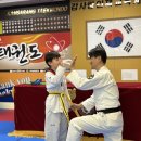 사랑 태권도 이미지