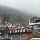 산새마을 | 담양 가족여행 리사숲속마을, 숲캉스 보내요.