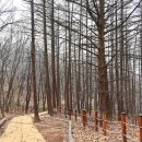 양지마을건물 이미지