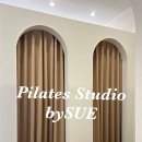 필라테스바이수 네이버블로그