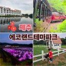 테마가 있는 안양소리여행 | 제주 에코랜드 테마파크, 기차 타고 떠나는 낭만적인 곶자왈 숲 여행 (코스별 꿀팁,포토존 가득)