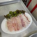 부흥공원 | 묵호 부흥횟집 — 신선함과 친절함이 가득한 물회 맛집