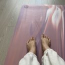 리플로우요가 | [내돈내산] 울산 요가 :: 리플로우 요가🌿 수업 후기