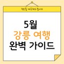 커피베이(심곡점) | ✨ 5월 강릉 여행 완벽 가이드 | 추천 코스, 맛집, 날씨까지 총정리!