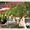 강에가펜션 이미지