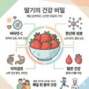 라이코펜헬스케어 | 딸기 효능 총정리｜다이어트·비타민C·먹는법까지 한 번에 정리