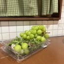 하녹타케 | 가평 한옥 독채 감성 숙소🤎🌿 #하녹타케 #스톤 #복층 #솔직후기