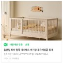 [내돈내산] 홈앤힐 토라 원목 데이베드 일 년 사용후기