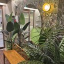 오퍼스식당 이미지