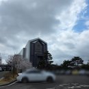 더하다 가야점 | 웨딩 사회] 아모르아트컨벤션 아모르홀 후기 : 아나운서의 품격에 위트를 더하다 (feat. 닭던지기 이벤트)