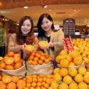현대청과 - 양천구 중앙로34길 30 | 현대청과
