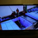 대웅축산 이미지