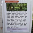 제주홍익여행사(주) 네이버블로그