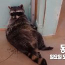 금남농장 이미지