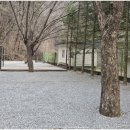 무릉도원면-24 이미지