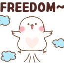 아름드레