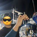 연석낚시 이미지