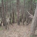 고은농장 이미지