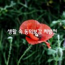 생활 속 동의보감 처방전 이미지