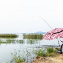 난정리(해바라기정원) Daum카페