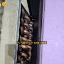 국제라지에타