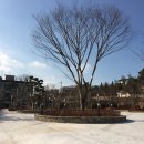 신흥문화