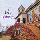 순천-21호 티스토리