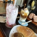 향기나무 이미지