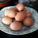 구운달걀 이미지