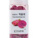 건강한펫 이미지