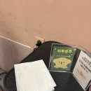 원 그루밍 | 송파애견미용 잠실 문정 셀프미용 원데이클래스 벤그루밍에서 제대로 배우고 온 후기!