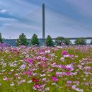 한강시민공원(자연학습장) 이미지